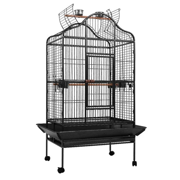 Feathered Friends - RnR Avian Collection - RnR Galore