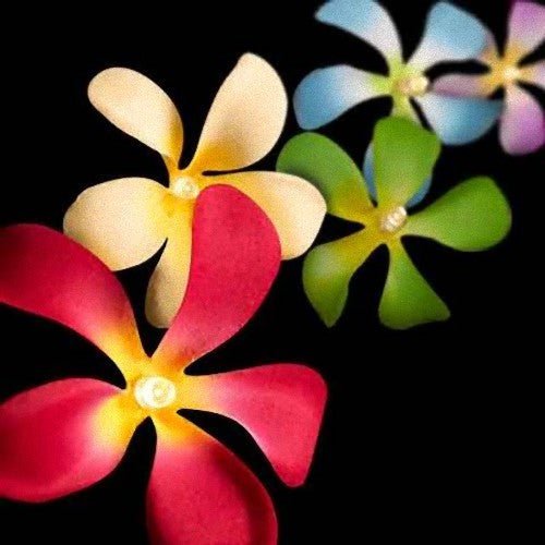 1 Set of 20 LED Tropical Bright Colous Frangipani Flower Battery String Lights Christmas Gift Home Wedding Party Decoration Outdoor Table Centrepiece - RnR Galore