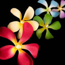 1 Set of 20 LED Tropical Bright Colous Frangipani Flower Battery String Lights Christmas Gift Home Wedding Party Decoration Outdoor Table Centrepiece - RnR Galore