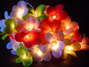 1 Set of 20 LED Tropical Bright Colous Frangipani Flower Battery String Lights Christmas Gift Home Wedding Party Decoration Outdoor Table Centrepiece - RnR Galore