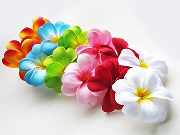 1 Set of 20 LED Tropical Bright Colous Frangipani Flower Battery String Lights Christmas Gift Home Wedding Party Decoration Outdoor Table Centrepiece - RnR Galore