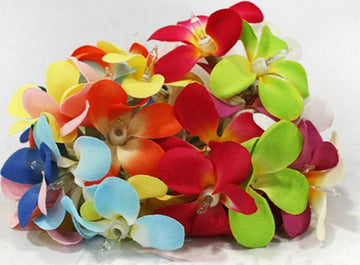 1 Set of 20 LED Tropical Bright Colous Frangipani Flower Battery String Lights Christmas Gift Home Wedding Party Decoration Outdoor Table Centrepiece - RnR Galore
