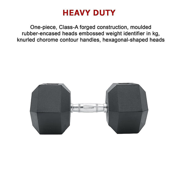 10KG Commercial Rubber Hex Dumbbell Gym Weight - RnR Galore