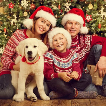 10Pack Christmas Santa Hats for Adults - Extra Thicken Velvet Santa Claus Hats for Women Men Fluffy Plush Xmas Hats Christmas Party Supplies New Year's Eve Party Hats for Adults Teenagers - RnR Galore