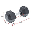 25KG Commercial Rubber Hex Dumbbell Gym Weight - RnR Galore