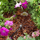 50M Hose Garden Irrigation System Plant Watering DIY Micro Drip Kits - RnR Galore