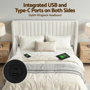 Artiss Queen Bed Frame with Gaslift Storage USB Type-C Charging Ports Velvet Upholstery White-8