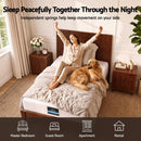 Giselle 25cm King Single Hybrid Mattress Soft Knitted Fabric Edge Support Gel Foam-7