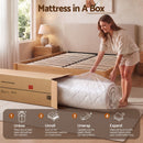 Giselle 30cm Double Spring Mattress Tencel Cover 5-Zone Firm Back Support-9