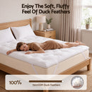 Giselle Queen Pillow Top Mattress Topper 1300GSM White Duck Feather For Old Bed Upgrade 5cm Thick-4