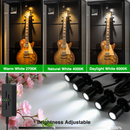 Dimmable LED Mini Spotlight, 12V CCT 2700K-6000K, Adjustable for Display, Cabinet, Showcase, Artwork, 360° Rotatable Accent Lighting, Surface Mount with Slider Dimmer & Adapter (CCT, 8Pack)-2