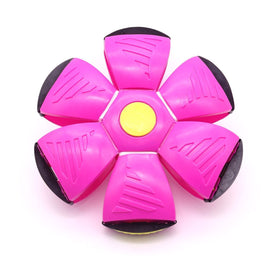Frisbee Deformation Ball - magenta + 3 Light Version×5