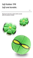 Frisbee Deformation Ball - magenta + 6 Light Version×5-5