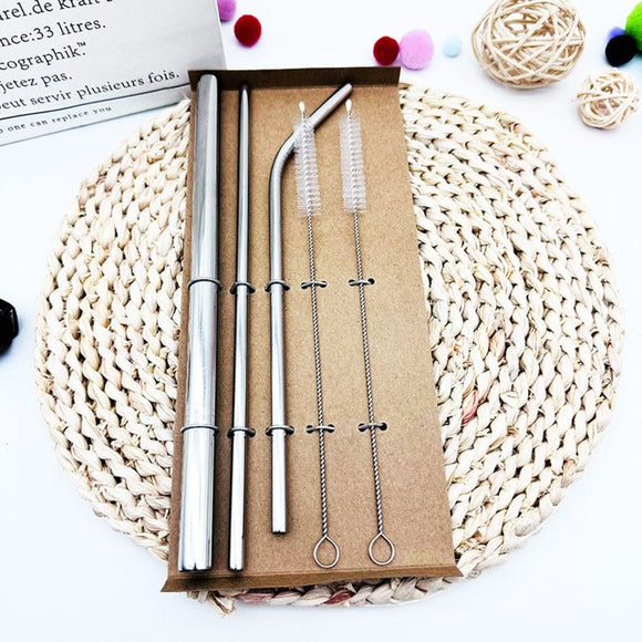 Food-Grade 304 Stainless Steel Drinking Straw Set—1 Thick Straw + 2 Thin Straws