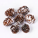 Natural Pine Cones with Snow-Dusted Tips for Christmas Tree Ornaments, Holiday Table Centerpieces, DIY Wreath Crafts, Garland Making and Festive Photo Props (3-4cm(7PCS))-1