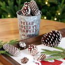 Natural Pine Cones with Snow-Dusted Tips for Christmas Tree Ornaments, Holiday Table Centerpieces, DIY Wreath Crafts, Garland Making and Festive Photo Props (3-4cm(7PCS))-3