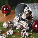 Natural Pine Cones with Snow-Dusted Tips for Christmas Tree Ornaments, Holiday Table Centerpieces, DIY Wreath Crafts, Garland Making and Festive Photo Props (3-4cm(7PCS))-5