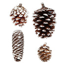 Natural Pine Cones with Snow-Dusted Tips for Christmas Tree Ornaments, Holiday Table Centerpieces, DIY Wreath Crafts, Garland Making and Festive Photo Props (3-4cm(7PCS))-6