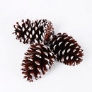 Natural Pine Cones with Snow-Dusted Tips for Christmas Tree Ornaments, Holiday Table Centerpieces, DIY Wreath Crafts, Garland Making and Festive Photo Props (3-4cm(7PCS))-9