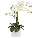 Artificial Orchid With Ribbed Pot 67cm-1