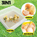 Electric 112 Egg Incubator + Accessories Hatching Eggs Chicken Quail Duck-10