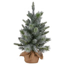 Christabelle 61cm Pre-Lit Snowy Stamford Spruce Battery-Operated Mini Christmas Tree Multi-Functional LED Timer-4
