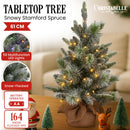 Christabelle 61cm Pre-Lit Snowy Stamford Spruce Battery-Operated Mini Christmas Tree Multi-Functional LED Timer-8