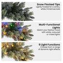 Christabelle 61cm Christmas Wreath Snowy Stamford Spruce with Coloured LED Lights Front Door Decoration Ornament-6