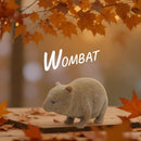 Stretchy Squishy Australian Wildlife Gift Set - Sensory Stimulation Animal Toys-8