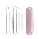 Stainless Steel Dental Tools Set Oral Care Kit with Metal Storage Case-1