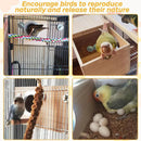 1-Piece Bird Breeding Nest Box with Perch, 29 x 15 x 15 cm-6