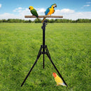 1-Piece Height-Adjustable Bird Perch Stand with Tripod Base-4