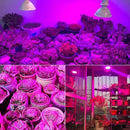 200 LED Clip-On Plant Grow Light with Flexible Gooseneck - 1 Pc-7