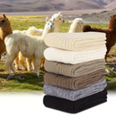 2 Pairs WOOL BLEND SOCKS Ladies Womens Thick Soft Work Thermal Warm Winter - 2-8-2