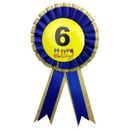 BIRTHDAY BADGE Party Favour Award Rosette Fancy Dress Girls Boys Childrens Kids --2