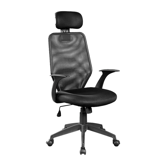 Ergonomic Mesh Office Chair