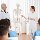 Human Skeleton Anatomical Model 180cm-2