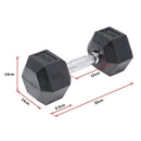 10KG Commercial Rubber Hex Dumbbell Gym Weight-10