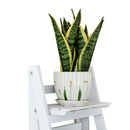 5 Tier Wooden Ladder Shelf Stand Storage Book Shelves Shelving Display Rack-6