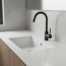 Kitchen Mixer Tap Faucet for Basin Laundry Sink-5