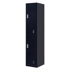 2-Door Vertical Locker for Office Gym Shed School Home Storage