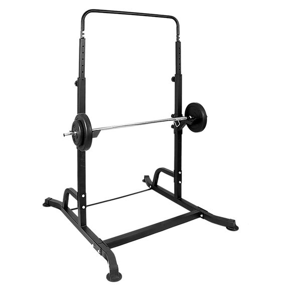Bench Press Gym Rack and Chin Up Bar