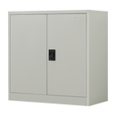 Two-Door Metal Short Cabinet Shelf Storage for Home Office Gym-1