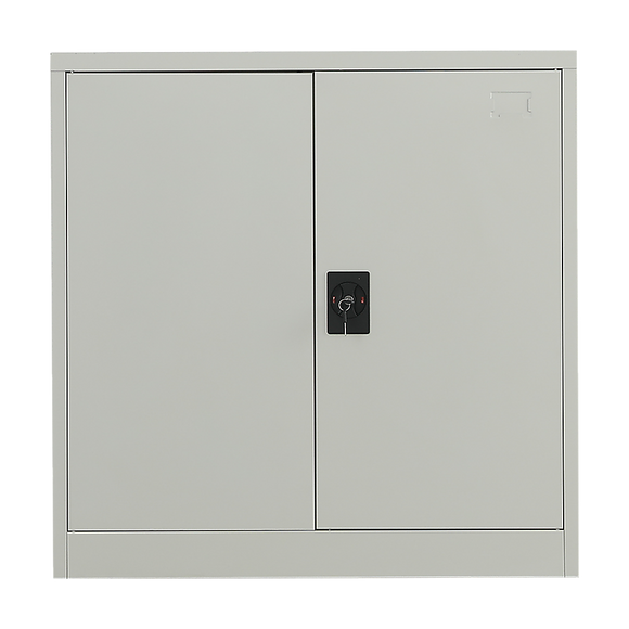 Two-Door Metal Short Cabinet Shelf Storage for Home Office Gym