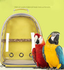 Green Stylish Transparent PVC Pet Carrier Backpack - Large Capacity, Multi-Use for Birds & Cats(Including Wooden Stick)-7