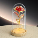 LED Eternal Red Rose in Glass Dome – Anniversary Flower Gift for Her, Mom, or Girlfriend-1