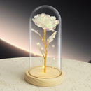 LED Eternal Colorful Rose in Glass Dome – Anniversary Flower Gift for Her, Mom, or Girlfriend-1