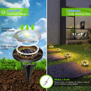 4-Pack Classic Large 8 LED Solar In-Ground Yellow Light Set (12  x 12  x 13 cm) - Stainless Steel Waterproof Garden Spike Lamps for Lawn & Pathway-3