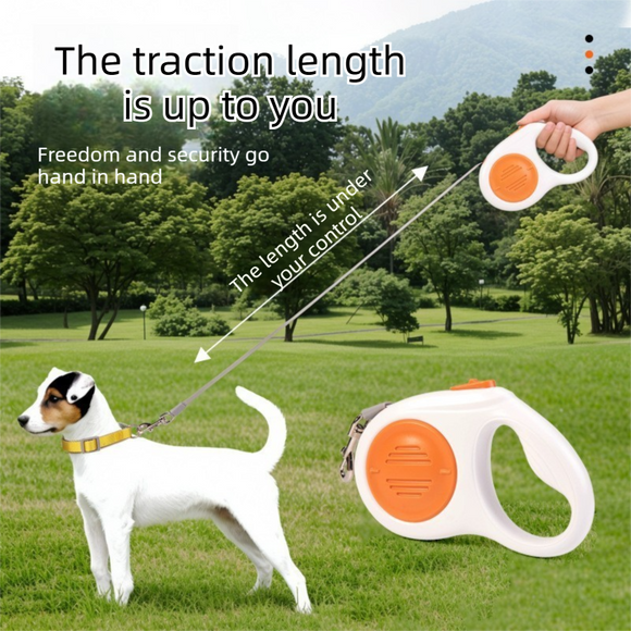 Green  5M Automatic Retractable Dog Leash –Extendable Pet Lead with One-Button Brake Lock, Tangle-Free 360° Nylon Strap, Durable ABS Housing for Dogs and Puppies