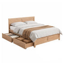 Artiss Double Bed Frame with 2 Drawers Bedroom Furniture-2